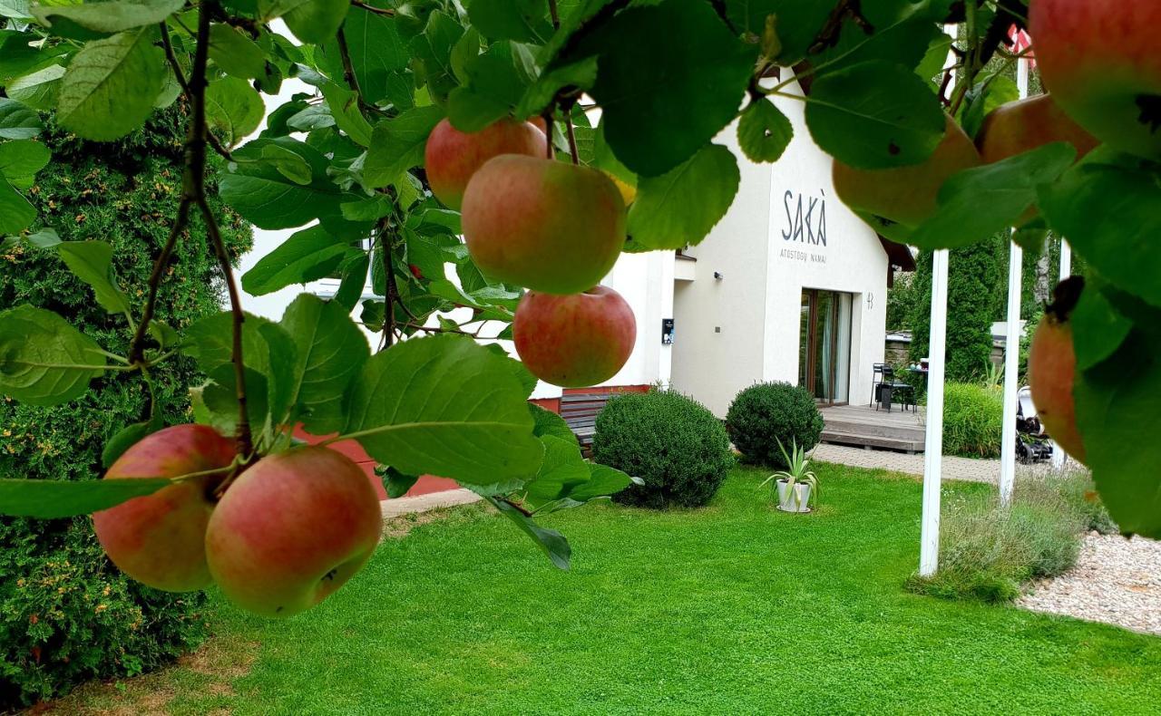 Saka Vacation House Druskininkai Kültér fotó